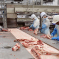 Mais de 70% das empresas consultadas relataram que a produção permaneceu igual ou superior ao mês anterior - Foto: Reprodução/ Fiems