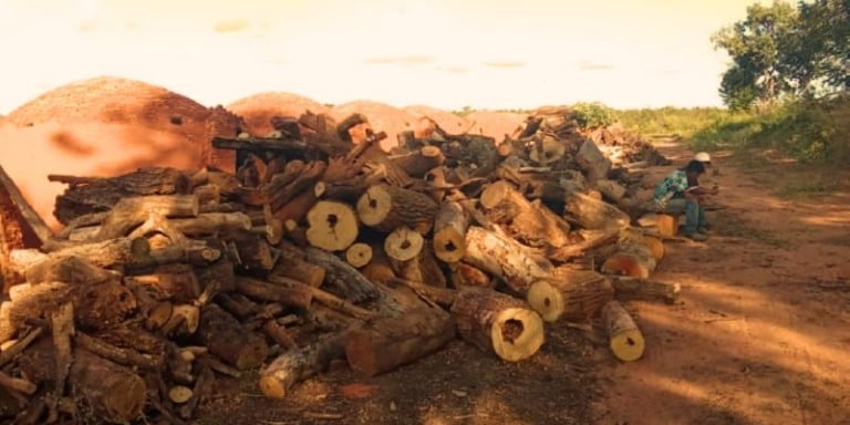 Em caso de descumprimento do acordo, podem ser aplicadas multas de até R$ 10 mil por infração (Foto: Reprodução/MPT-MS)