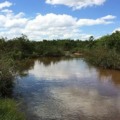 TAC firmado em Dourados prevê reflorestamento e medidas de reparação ambiental