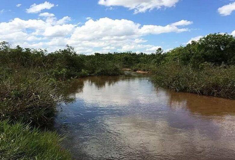 TAC firmado em Dourados prevê reflorestamento e medidas de reparação ambiental
