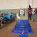 Segundo a polícia, a ação representou um prejuízo estimado em cerca de 15 mil dólares à rede de tráfico internacional envolvida. (Divulgação)