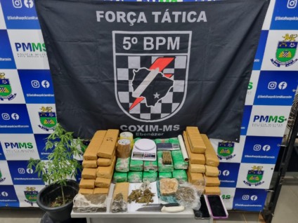 Um pé de maconha também foi encontrado na residência - Reprodução/PMMS