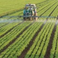 Entregas de fertilizantes ao mercado brasileiro somaram mais de 3 milhões de toneladas- Foto: Reprodução/ Grupo Multitécnica