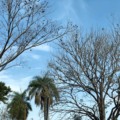 Em Campo Grande a máxima deve chegar aos 29°C - Foto: Arquivo RCN67