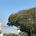 Em Campo Grande, máxima deve chegar a 35°C - Foto: Arquivo RCN67
