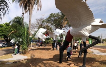 Lago foi substituído por um gramado para evitar a proliferação do mosquito da dengue na região (Foto: Karina Anunciato/ Massa CG)