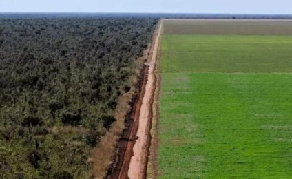 Prazo inicial acabava este ano - Foto: Reprodução/ WWF Brasil