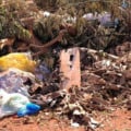 Medida foi motivada por denúncias de moradores sobre o acúmulo de lixo doméstico - Foto: Reprodução/ MPMS