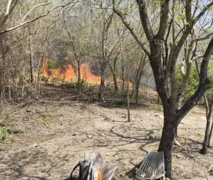 Fogo no Refúgio Canaã, uma das propriedades atingidas por incêndio que começou sexta-feira - Foto: Arquivo Pessoal