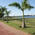 Acordo põe fim a disputa por recursos de compensação ambiental em Três Lagoas