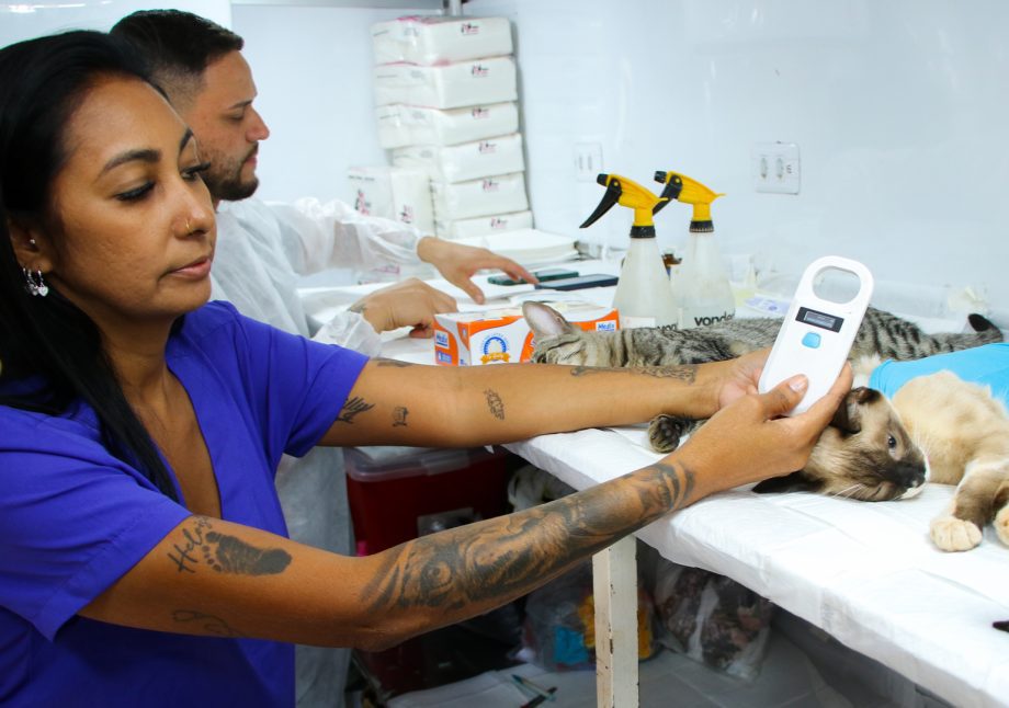 ação, promovida pelo Governo do Estado de Mato Grosso do Sul em parceria com a Prefeitura Municipal, tem como objetivo o controle populacional de animais por meio de castrações gratuitas, sob o tema “Castrar é um ato de amor”. Foto: Divulgação. ação, promovida pelo Governo do Estado de Mato Grosso do Sul em parceria com a Prefeitura Municipal, tem como objetivo o controle populacional de animais por meio de castrações gratuitas, sob o tema “Castrar é um ato de amor”. Foto: Divulgação.