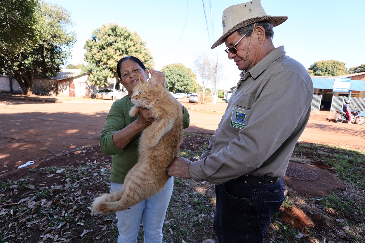 No sábado (13), a imunização de cães e gatos será realizada em formato drive-thru, no pátio da Prefeitura. (Foto: A. Frota)