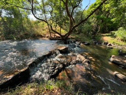 O local fica localizado na área de Proteção Ambiental (APA) do Córrego Ceroula (Foto: Reprodução/PMCG)
