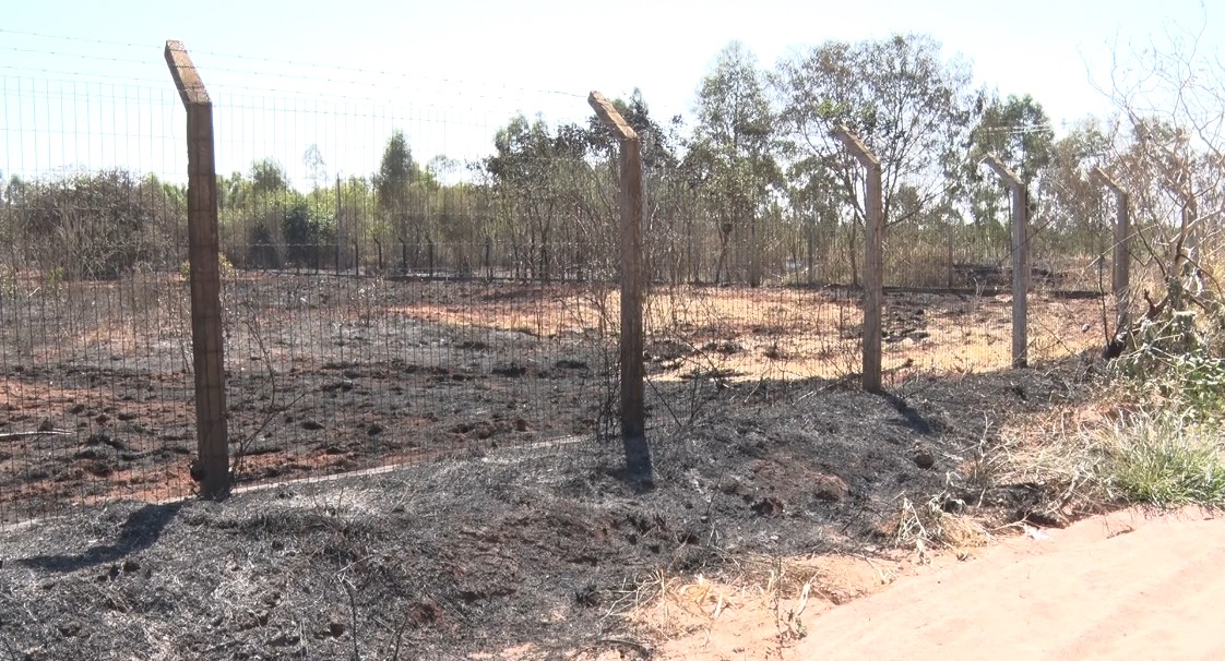 A Costa Leste de Mato Grosso do Sul registrou uma redução significativa nos incêndios florestais e queimadas urbanas em 2025, segundo dados do Corpo de Bombeiros. Foto: Reprodução/TVC HD.