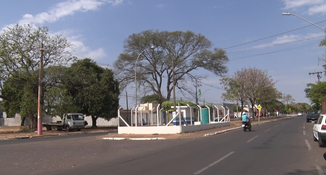 O Dia da Árvore reforça a necessidade de ações contínuas de educação ambiental e preservação, lembrando que a qualidade de vida das próximas gerações depende da conservação de hoje. Foto: Reprodução/TVC HD.
