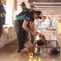 Competição de 2024, durante o Festival Internacional da Carne - Foto: Divulgação