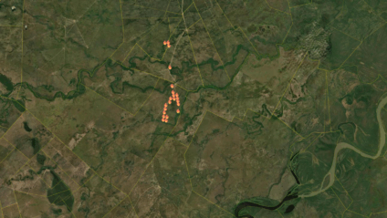 Ao todo, há 68 focos de calor estão ativos no Pantanal (Foto: Reprodução/ Pantanal em Alerta) 