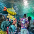 Oficinas, teatro e ações práticas reforçam a importância da preservação ambiental - Reproudção/Bioparque Pantanal