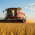 Uma vista aérea de extensos campos de soja verde e madura, simbolizando uma colheita abundante e a vastidão da produção agrícola brasileira.