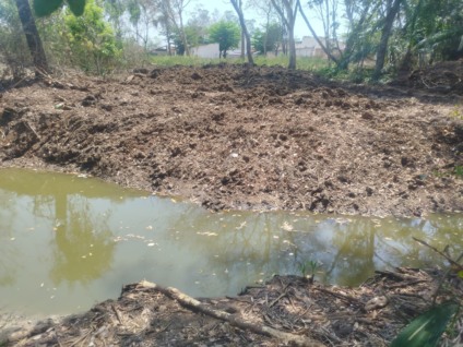 Fiscalização constatou retirada de vegetação nativa, incluindo mata ciliar - Foto: Divulgação/PMA
