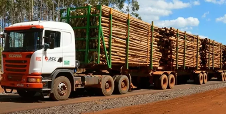 Entre as oportunidades há vagas para motorista de tritrem (Foto: Reprodução/ JSL Transportes)