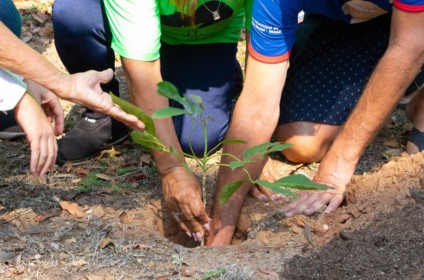 Semana da Árvore inicia com plantio de mudas e ações educativas