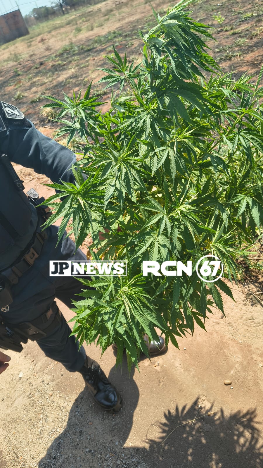 Trágico foi flagrado na região do bairro Carandá: Divulgação 