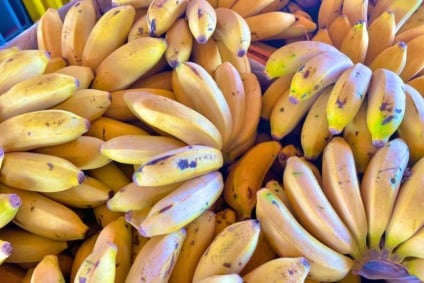 Banana-maça é a segunda mais vendida na Ceasa/ms - Foto: Reprodução/Ceasa MS