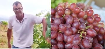 Agnaldo Lopes comemora os primeiros frutos do cultivo de uva em sua propriedade, com apoio do Senar/MS e Sindicato Rural de Paranaíba.