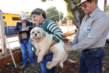 A imunização é destinada a cães e gatos a partir de 3 meses. (Foto: A. Frota)