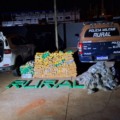Número de prisões por tráfico de drogas cresce e desafia autoridades