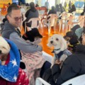 Ação estadual prioriza bem-estar animal e prevenção de zoonoses em Paranaíba