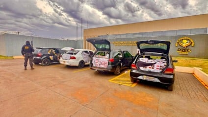 Seis pessoas foram presas na ação / Foto: DOF/Reprodução