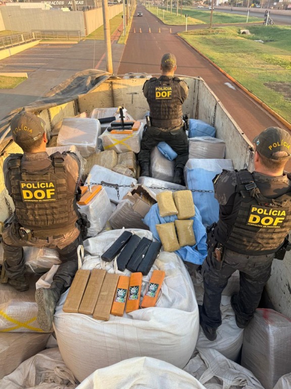 Motorista foi preso durante fiscalização na BR-267 - Foto: Divulgação/DOF