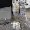 Mulher admitiu o transporte da droga - Reprodução/PCMMS