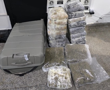 Mulher admitiu o transporte da droga - Reprodução/PCMMS