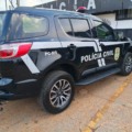A ação foi realizada pelo Setor de Investigações da Delegacia de Anaurilândia - Foto: PCMS