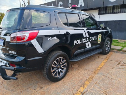 A ação foi realizada pelo Setor de Investigações da Delegacia de Anaurilândia - Foto: PCMS