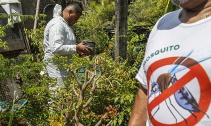 Casos de chikungunya somam 73 e geram preocupação em Três Lagoas