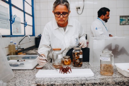 Sistema garante água potável, fiscalização de alimentos, controle de zoonoses e serviços essenciais em todo o país - Foto: Divulgação/Prefeitura de CG
