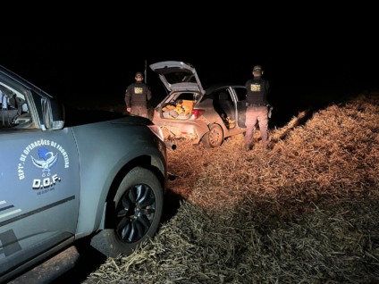 Nenhum suspeito foi preso durante a ação policial - Foto: Divulgação/DOF
