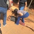 Polícia Civil prende jovem de 19 anos por violência doméstica em Três Lagoas