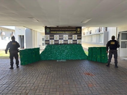 Maconha, haxixe e skunk avaliados em R$ 3,4 milhões - Foto: Divulgação/DOF