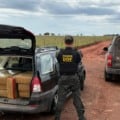 Droga apreendida foi avaliada em R$ 600 mil. / Foto: DOF/Divulgação