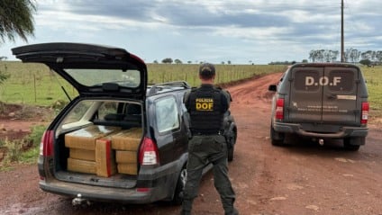 Droga apreendida foi avaliada em R$ 600 mil. / Foto: DOF/Divulgação
