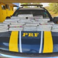 PRF encontra 33 tabletes de maconha dentro da bagagem de passageiro em Água Clara - Reprodução/PRF