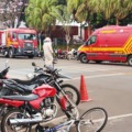 Corpo de Bombeiros isolou parte da área após moradores relatarem ataques; retirada segura dos insetos deve ocorrer à noite