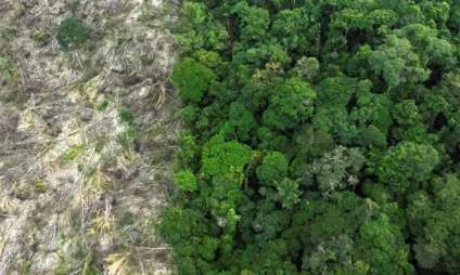 Amazônia perdeu 52 milhões de hectares de vegetação nativa entre 1985 e 2024 - Foto: Reuters/Ueslei Marcelino