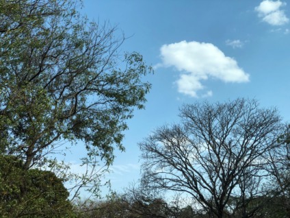 Em Campo Grande, a mínima prevista é de 18°C, com máxima entre 30°C e 32°C - Foto: Arquivo/Portal RCN67