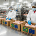 Área Livre de Gripe Aviária: O reconhecimento da UE reforça a segurança e competitividade do frango brasileiro no mercado global. Foto: Gerada por IA.